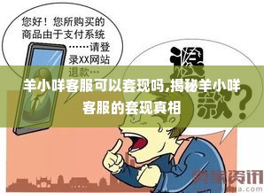 羊小咩客服可以套现吗,揭秘羊小咩客服的套现真相