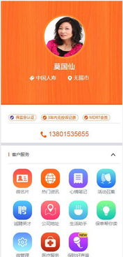 微店放心花美团月付能套出来吗,微店放心花与美团月付，探索资金套现的可能性与风险