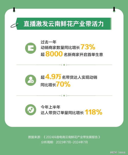 抖音哪一家支持月付套出来,探索抖音月付套现的奥秘与风险