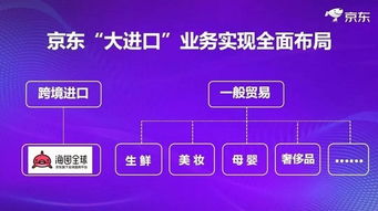 京东企业金采买什么套出来,京东企业金采，高效采购策略与实践