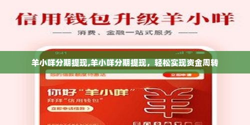 羊小咩分期提现,羊小咩分期提现，轻松实现资金周转