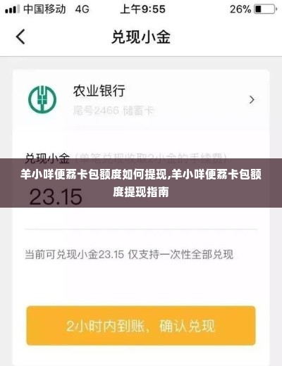 羊小咩便荔卡包额度如何提现,羊小咩便荔卡包额度提现指南