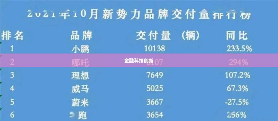 羊小咩套现成功,羊小咩套现成功，金融科技的奇迹与挑战