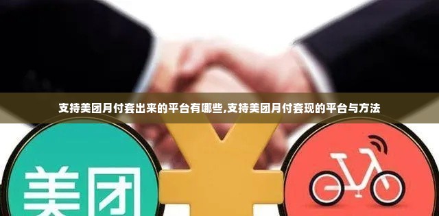 支持美团月付套出来的平台有哪些,支持美团月付套现的平台与方法