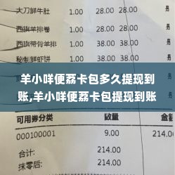 羊小咩便荔卡包多久提现到账,羊小咩便荔卡包提现到账时间分析与比较