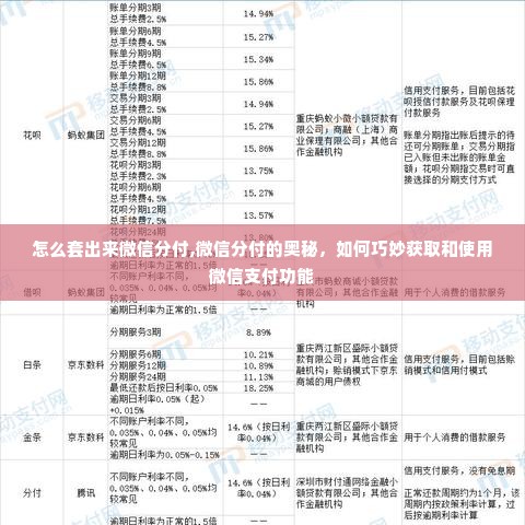 怎么套出来微信分付,微信分付的奥秘，如何巧妙获取和使用微信支付功能