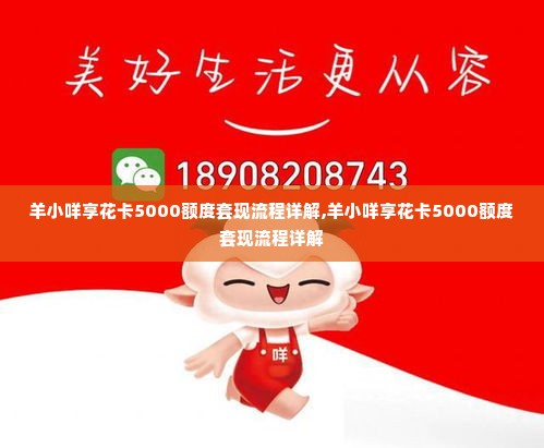 羊小咩享花卡5000额度套现流程详解,羊小咩享花卡5000额度套现流程详解