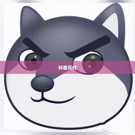抖音月付怎么套出来到微信,揭秘抖音月付如何巧妙转入微信