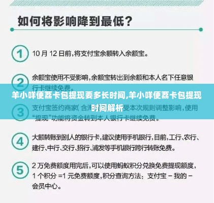 羊小咩便荔卡包提现要多长时间,羊小咩便荔卡包提现时间解析