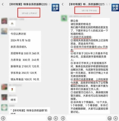 羊小咩便荔卡包提现要多长时间,羊小咩便荔卡包提现时间解析