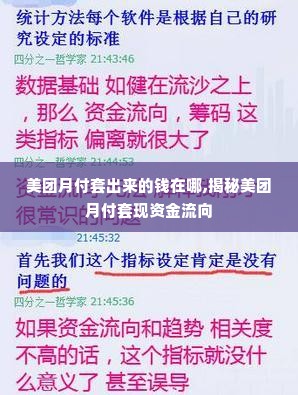 美团月付套出来的钱在哪,揭秘美团月付套现资金流向