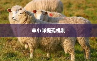 羊小咩提现比例,羊小咩提现比例的奥秘
