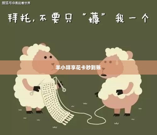 羊小咩便荔卡包享花卡找谁能提现,羊小咩便荔卡包享花卡的提现攻略