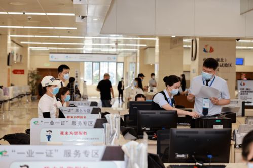 卫辉市京东企业金采套出来公司,卫辉市京东企业金采套出来公司，创新驱动下的电商新星