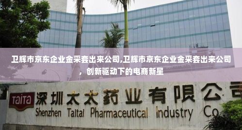 卫辉市京东企业金采套出来公司,卫辉市京东企业金采套出来公司，创新驱动下的电商新星
