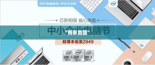 京东企业金采套出来商家有哪些套路,揭秘京东企业金采套现商家的常见套路