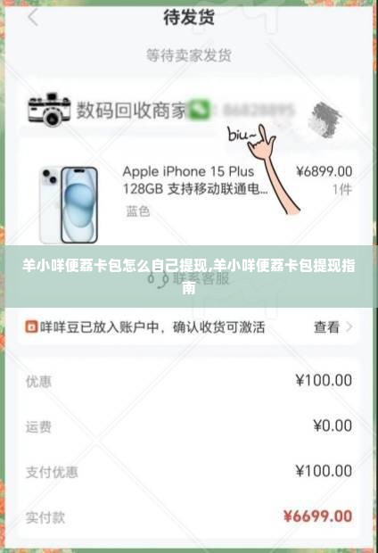 羊小咩便荔卡包怎么自己提现,羊小咩便荔卡包提现指南