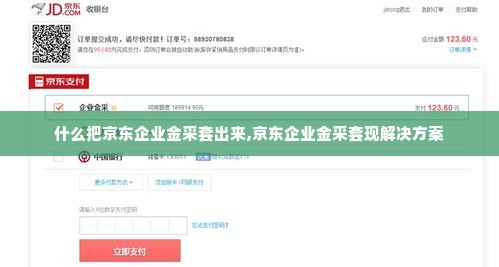什么把京东企业金采套出来,京东企业金采套现解决方案