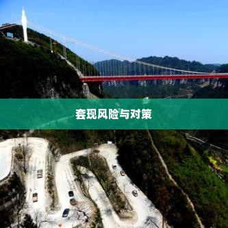 美团月付一百怎么套出来,美团月付一百怎么套出来？揭秘背后的风险与对策