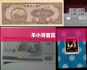 羊小咩套现全网回收,羊小咩套现全网回收，互联网时代的货币流转新策略