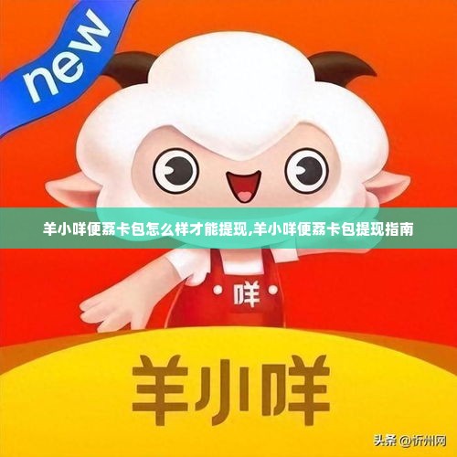 羊小咩便荔卡包怎么样才能提现,羊小咩便荔卡包提现指南