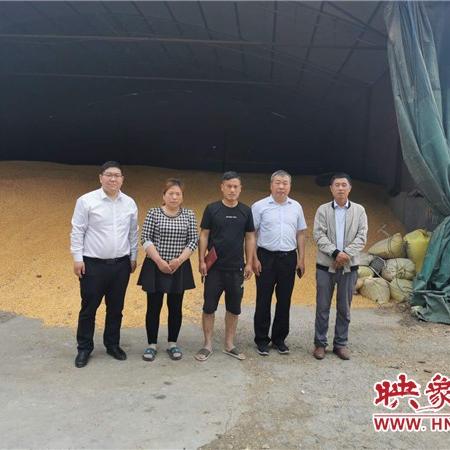 微店放心花想套出来怎么,微店放心花想套出来怎么？揭秘轻松获取信用额度的技巧