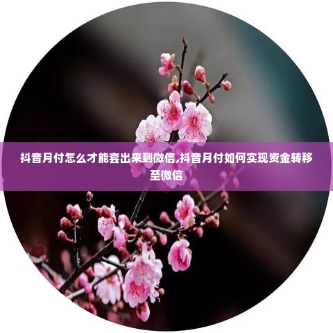 抖音月付怎么才能套出来到微信,抖音月付如何实现资金转移至微信