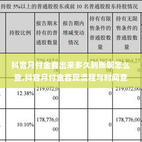 抖音月付金套出来多久到账啊怎么查,抖音月付金套现流程与时间查询