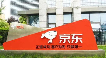 有没有京东企业金采套出来的,揭秘京东企业金采——从概念到实践的深度剖析
