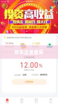京东企业金采怎么套出来金的啊,京东企业金采，如何高效提取资金