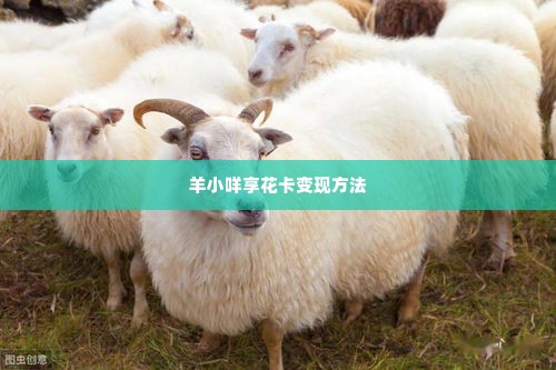 几招教你羊小咩享花卡兑现 几招教你羊小咩享花卡兑现