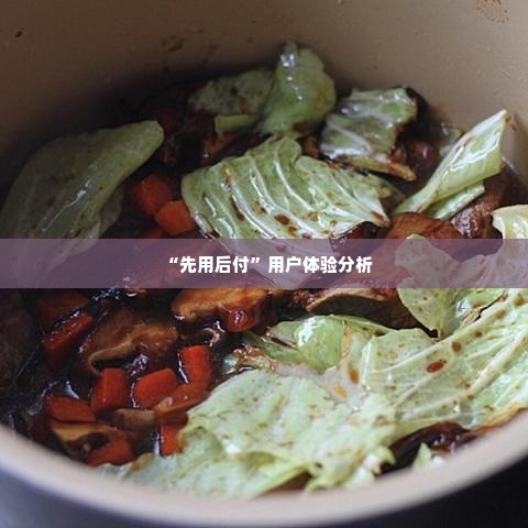 快手先用后付几个点 快手先用后付模式的探索与实践