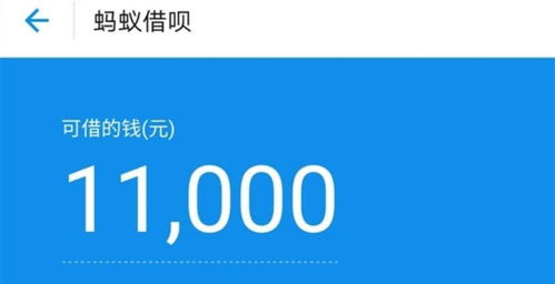 花呗兑现 花呗兑现——现代消费金融的便捷与风险