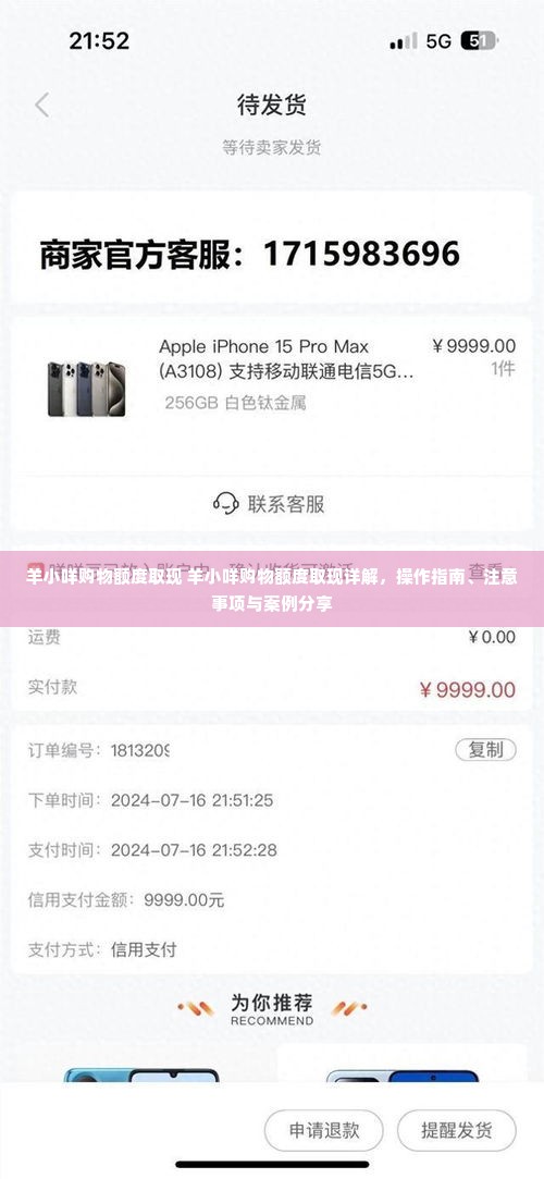 羊小咩购物额度取现 羊小咩购物额度取现详解，操作指南、注意事项与案例分享