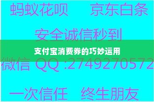 分期乐额度买支付宝消费券怎么变现 分期乐额度变现攻略，支付宝消费券的巧妙运用