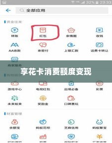 羊小咩便荔卡包额度怎么套 羊小咩便荔卡包额度的套现与风险分析