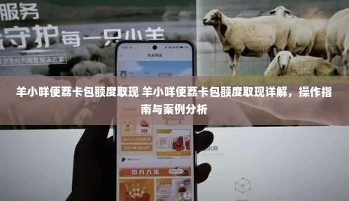 羊小咩便荔卡包额度取现 羊小咩便荔卡包额度取现详解，操作指南与案例分析