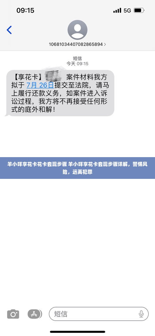 羊小咩享花卡花卡套现步骤 羊小咩享花卡套现步骤详解，警惕风险，远离犯罪
