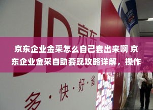 京东企业金采怎么自己套出来啊 京东企业金采自助套现攻略详解，操作指南与案例分析