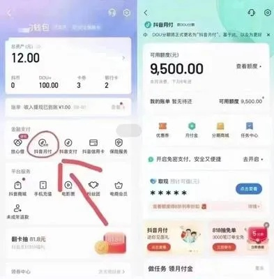 抖音月付额度怎么使用找商家兑现 抖音月付额度使用指南，轻松兑现与商家互动