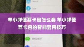 羊小咩便荔卡包怎么套 羊小咩便荔卡包的智能套用技巧