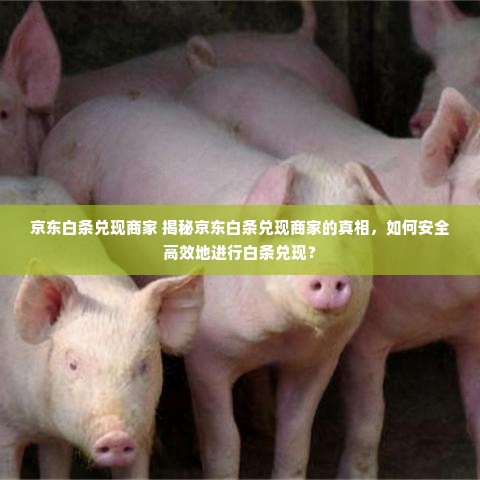 京东白条兑现商家 揭秘京东白条兑现商家的真相，如何安全高效地进行白条兑现？