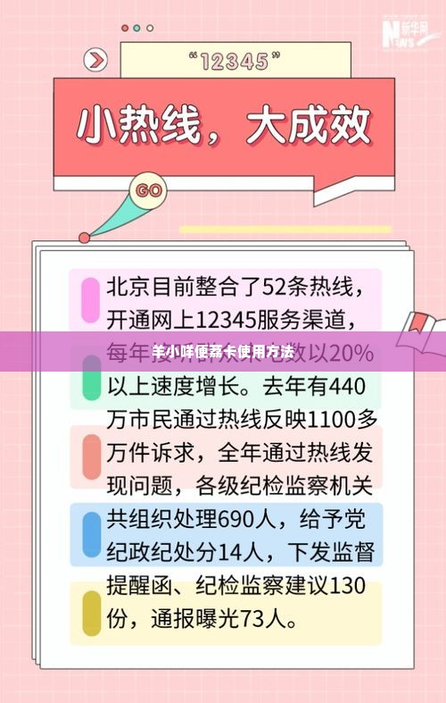 羊小咩便荔卡兑现的正确步骤与基本方法 羊小咩便荔卡的实用指南，如何正确使用与兑现