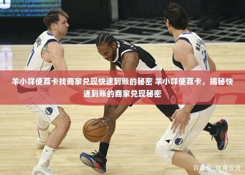 羊小咩便荔卡找商家兑现快速到账的秘密 羊小咩便荔卡，揭秘快速到账的商家兑现秘密