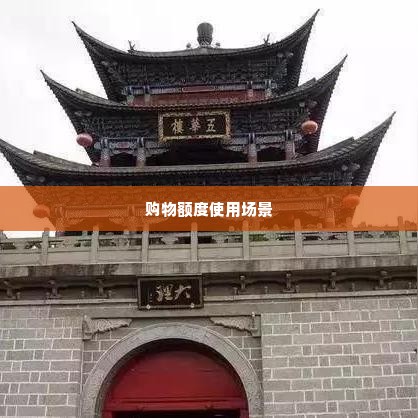 羊小咩购物额度怎么取 羊小咩购物额度的奥秘
