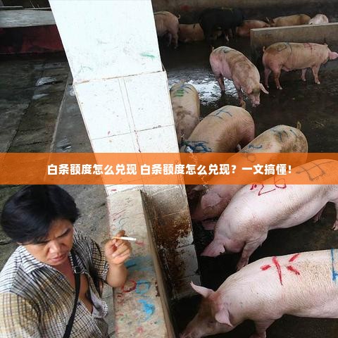 白条额度怎么兑现 白条额度怎么兑现？一文搞懂！