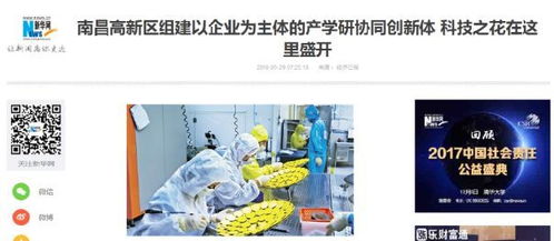 哪里微店放心花套出来最多 哪里微店放心花套出来最多——深度解析与推荐