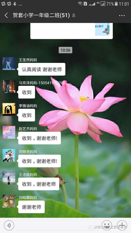 哪里微店放心花套出来最多 哪里微店放心花套出来最多——深度解析与推荐