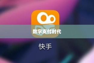 快手先用后付取现 快手先用后付，探索数字支付时代的新机遇