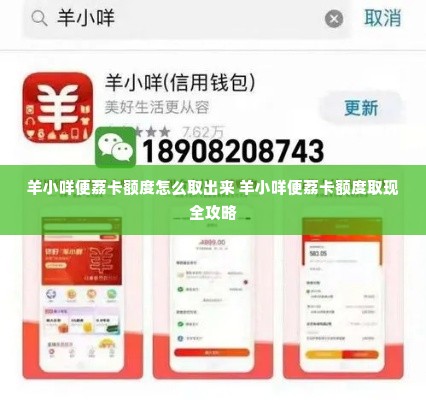 羊小咩便荔卡额度怎么取出来 羊小咩便荔卡额度取现全攻略